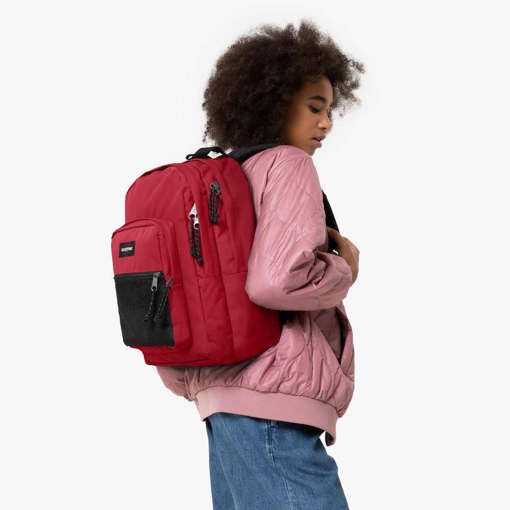 ZAINO EASTPAK PINNACLE BEET BURGUNDY