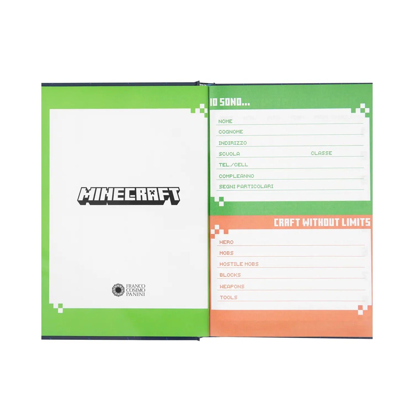 DIARIO MINECRAFT - NON DATATO