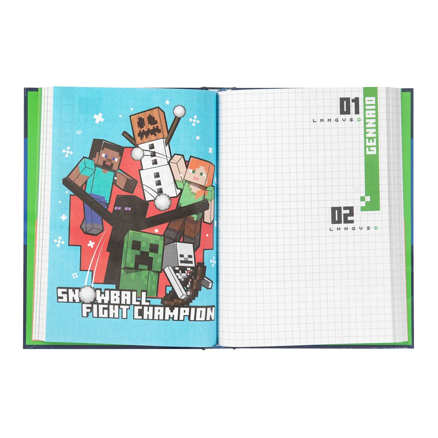 DIARIO MINECRAFT - NON DATATO