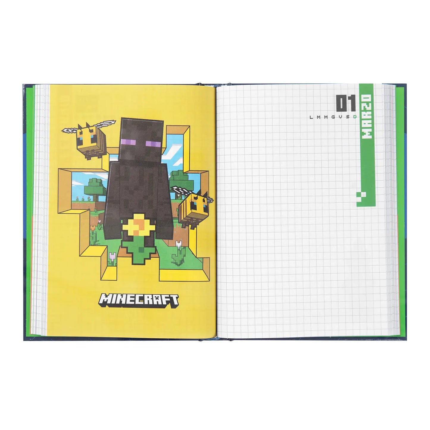 DIARIO MINECRAFT - NON DATATO